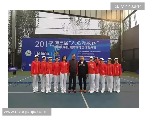 西安网球队在杯赛中的技术表现分析与评价