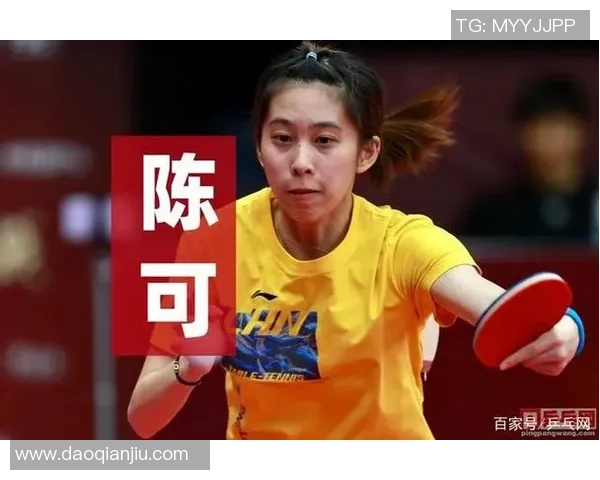 武汉乒乓球队的奋斗与辉煌：一段不平凡的突破之路纪实